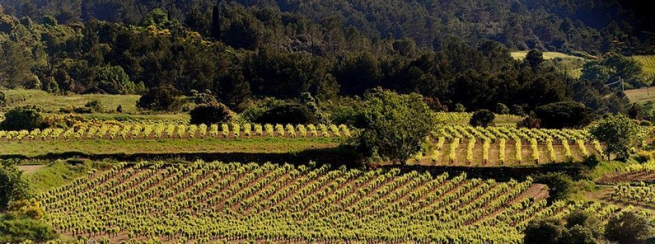 slowlifearchitects_Wine Resort 3